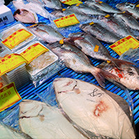 京都全魚類卸協同組合